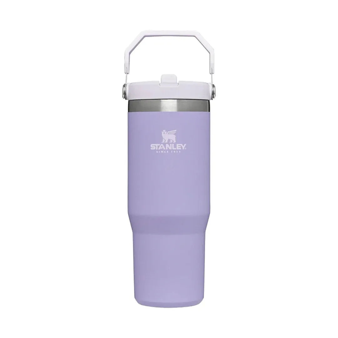 Stanley Adventure Classic Iceflow Flip Straw 30oz Tumbler
