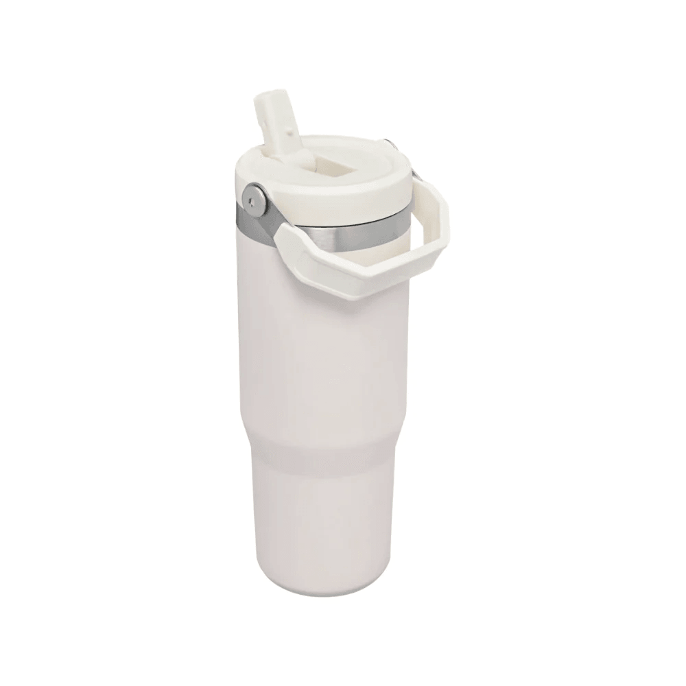 Stanley Adventure Classic Iceflow Flip Straw 30oz Tumbler - Oribags