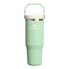 Stanley IceFlow Flip Straw Tumbler - 30oz 2.0
