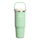 Stanley IceFlow Flip Straw Tumbler - 30oz 2.0