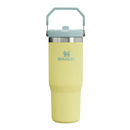 Stanley IceFlow Flip Straw Tumbler - 30oz 2.0