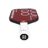 Holbrook Pro Series Aero Kelvar T Pickleball Paddle