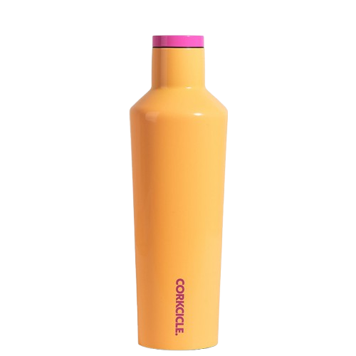 Corkcicle 16oz Canteen | Color Block Collection