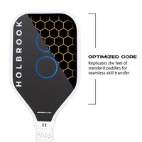 Holbrook Paddle Trainer Pickleball Paddle