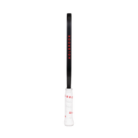 Holbrook Pro Series Aero Metallic T Pickleball Paddle