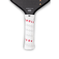 Holbrook Pro Series Aero Metallic T Pickleball Paddle